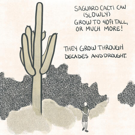 Cactus Comic 4
